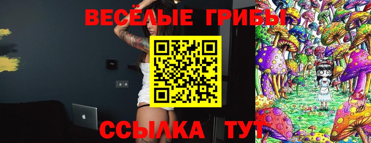 Галлюциногенные грибы мухоморы Новошахтинск